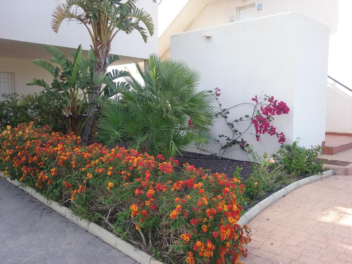 Apartamento Junto Al Mar En La Costa De Almeria Эль-Посо-дель-Эспарто Экстерьер фото